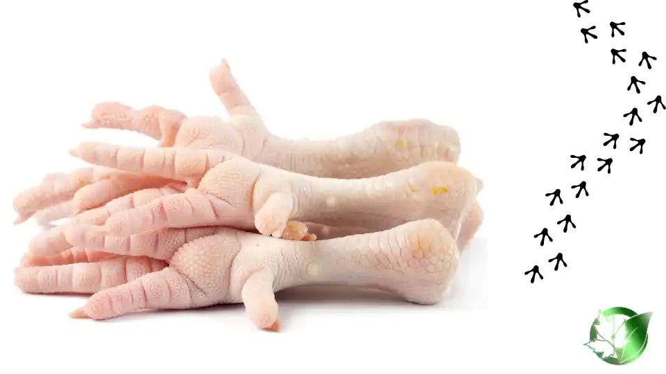 Chicken Feet quality, format, and packaging should be matched to the buyer’s target application.